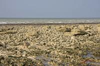 Cjp_2010_04_14_155130 (1).jpg